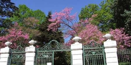 Villa De Capua Park