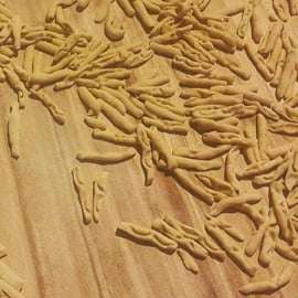 Morcone : atelier pâtes, visite de la ferme et déjeuner