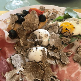 TRUFFELJACHT MET PROEVERIJ
